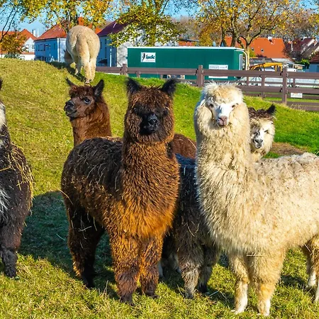 Wellings Parkhotel 4*