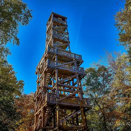 ホテル Wellings Parkhotel 4*