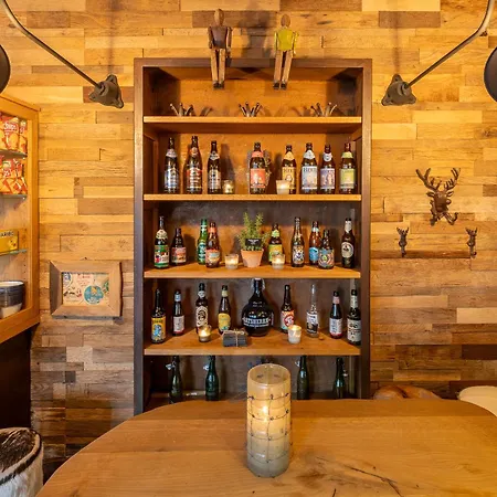 酒店 维灵格斯公园酒店 4*