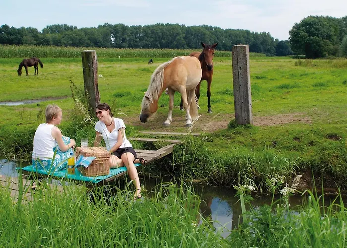 酒店 维灵格斯公园酒店