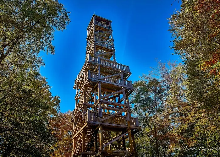 Otel Wellings Parkhotel 4*